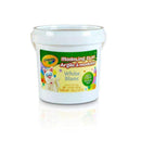 1 LB BUCKET MODELING CLAY WHITE-Arts & Crafts-JadeMoghul Inc.