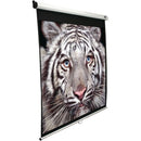 100" Manual Pull-down B Series Projection Screen (1:1 format; 71" x 71")-Projectors & Accessories-JadeMoghul Inc.