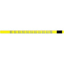 (12 DZ) PENCILS MULTIPLICATION-Supplies-JadeMoghul Inc.