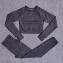 2/3/5PCS Seamless Women Yoga Set Workout Sportswear Gym Clothing Fitness Long Sleeve Crop Top High Waist Leggings Sports Suits JadeMoghul Inc.