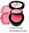 2 Colors Tone In One Face Blush Palette-Style 2-JadeMoghul Inc.
