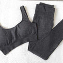 2 Piece Set Workout Clothes for Women Sports Bra and Leggings Set Sports Wear for Women Gym Clothing Athletic Yoga Set JadeMoghul Inc.