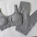 2 Piece Set Workout Clothes for Women Sports Bra and Leggings Set Sports Wear for Women Gym Clothing Athletic Yoga Set JadeMoghul Inc.