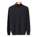2020 New Autumn Winter Men's Warm Turtleneck Sweater High Quality Fashion Casual Comfortable Pullover Thick Sweater Male Brand AExp