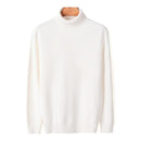 2020 New Autumn Winter Men's Warm Turtleneck Sweater High Quality Fashion Casual Comfortable Pullover Thick Sweater Male Brand AExp
