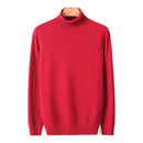 2020 New Autumn Winter Men's Warm Turtleneck Sweater High Quality Fashion Casual Comfortable Pullover Thick Sweater Male Brand AExp