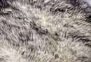 Grey Area Rug - 48" x 72" x 2" Gradient Gray Quattro Sheepskin - Area Rug