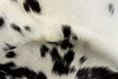 Black and White Rug - 2" x 3" White And Black Calfskin - Area Rug