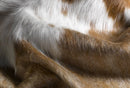 Brown Rug - 60" x 84" Brown And White Cowhide - Area Rug