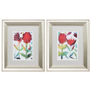 Picture Frames - 11" X 13" Brushed Silver Frame Vibrancy (Set of 2)