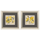 Picture Frames - 13" X 13" Brushed Silver Frame Buttercup (Set of 2)