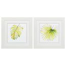 White Collage Picture Frames - 19" X 19" White Frame Balaze Palma (Set of 2)