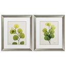 Cheap Picture Frames - 19" X 22" Brushed Silver Frame Natural Greenery (Set of 2)