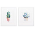 White Collage Picture Frames - 17" X 20" Matte White Frame Cactus (Set of 2)