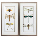 Big Picture Frames - 13" X 25" Metallic Bronze Frame Entomology Series (Set of 2)