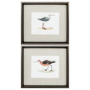 DIY Picture Frame - 17" X 15" Brushed Silver Frame Morris Sandpipers (Set of 2)