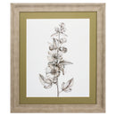 Decorative Picture Frames - 24" X 28" Champagne Color Frame  Neutral Botanical V
