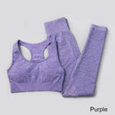 3Pcs Seamless Yoga Set Gym Fitness Clothing Women Yoga Suit Sportswear Female Workout Leggings Top Sport Clothes Training Tights JadeMoghul Inc.