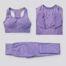 3Pcs Seamless Yoga Set Gym Fitness Clothing Women Yoga Suit Sportswear Female Workout Leggings Top Sport Clothes Training Tights JadeMoghul Inc.