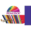 4 PLY RR POSTER BOARD 25 SHT PURPLE-Arts & Crafts-JadeMoghul Inc.