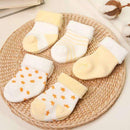 5 Pair baby Socks Set-c-3M-JadeMoghul Inc.