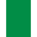 (5 PK) SPECTRA QUIRES APPLE GREEN-Arts & Crafts-JadeMoghul Inc.