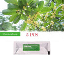 5pcs Car Air Freshener Replacement Car Perfume Car Styling Car Solid Freshener Air Purifier Conditioning Air Vent Perfume JadeMoghul Inc.