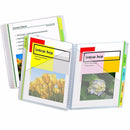 (6 Ea) C-Line 10 Pocket Portfolios-Supplies-JadeMoghul Inc.