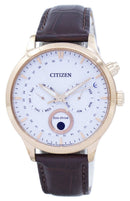 Citizen Eco-Drive Moon Phase AP1052-00A Japan Made Men's Watch