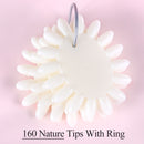 Clear Nature Black False Tips For Nail Art Display Oval Fan Style Nail Swatch Polish Stand Tips Practice Manicure Tools BEA23-2