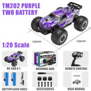 BEZGAR TM201 Remote Control Car,2.4GHz Rc Car All-Terrain 15Km/h 1:20 Off-Road Monster Truck Toy Christmas Present for Children