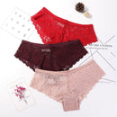 3 Pcs Panties for Woman Underwear Sexy Lace Breathable Soft Lingerie Female Briefs Panty Sexy Transparent Women&