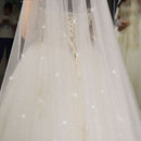 B58-D Luxury Cathedral Wedding Veil Bling Bling Bridal Veils Soft Single Tier Bridel Veil with Comb Glitters Wedding Accessories