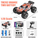 BEZGAR TM201 Remote Control Car,2.4GHz Rc Car All-Terrain 15Km/h 1:20 Off-Road Monster Truck Toy Christmas Present for Children