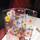 Qianliyao Dried Flower Silver foil Clear Phone Cases For iPhone 13 12 11 Pro Max XS Max XR X 6S 7 8 Plus SE Soft Silicone Cover