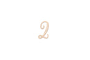 19pcs Wooden Baby Milestone Card For Newborn Baby Photography Engraved Age Milestone Wood Card Month Sticker Newborn Gifts