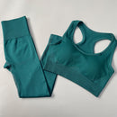 2/3/4pcs Seamless Yoga Set Women Gym Clothes Sportswear Yoga Suits for Fitness Gym Set Underwear Tracksuits Leggings Sports Bra