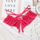 Sexy Women Panties Lace Women Underwear Erotic Panties Hot Transparent Lingerie Perspective Female G-string Embroidered Thong
