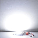 LED COB lamp Bead 10W 20W 30W 50W AC 220V 240V IP65 Smart IC No Need Driver DIY Flood light Led Bulb Spotlight Outdoor Chip Lamp