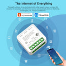 Wifi DIY Smart Switch Remote Controller 10A/16A Wireless Switches Smart Home tuya Smart Life APP Control Via Alexa Google Home