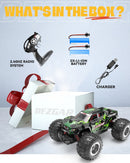 BEZGAR TM201 Remote Control Car,2.4GHz Rc Car All-Terrain 15Km/h 1:20 Off-Road Monster Truck Toy Christmas Present for Children