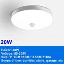LED Ceiling Lights PIR Motion Sensor Smart Home Lighting 12W 18W 20W 30W 40W Ceiling Lamp For Room Hallways Corridor 110V 220V