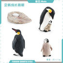 Animal Life Cycle Board Children Toys Montessori Teaching Aids Plant Animal Growth Cycle Model Set preschool cognitive Toys