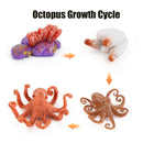 Animal Life Cycle Board Children Toys Montessori Teaching Aids Plant Animal Growth Cycle Model Set preschool cognitive Toys