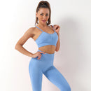2PCS Seamless Yoga Set Women Tracksuit High Waist Leggings Workout Sportswear Gym Clothing Fitness Crop Top Sports Suits Gym Set