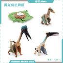 Animal Life Cycle Board Children Toys Montessori Teaching Aids Plant Animal Growth Cycle Model Set preschool cognitive Toys