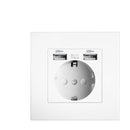 Depo Wall Type Dual USB Power Socket 2.1A, Electrical socket wall plug with usb, 16A 220V outlet, German EU Standard Socket