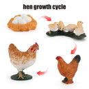 Animal Life Cycle Board Children Toys Montessori Teaching Aids Plant Animal Growth Cycle Model Set preschool cognitive Toys