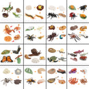 Animal Life Cycle Board Children Toys Montessori Teaching Aids Plant Animal Growth Cycle Model Set preschool cognitive Toys