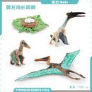 Animal Life Cycle Board Children Toys Montessori Teaching Aids Plant Animal Growth Cycle Model Set preschool cognitive Toys